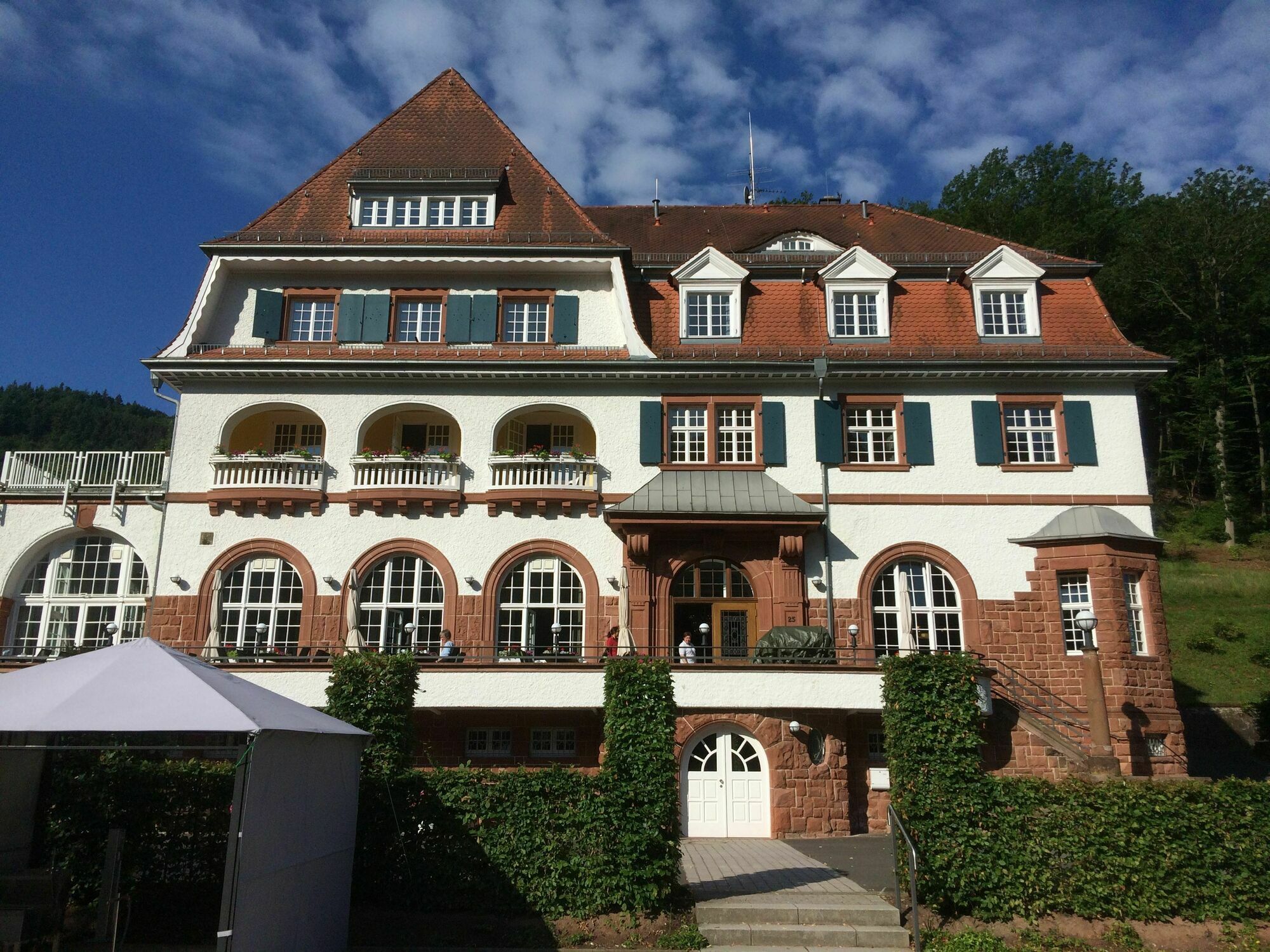 Jugendstilhotel Trifels 안에일러 앰 트리펠스 외부 사진